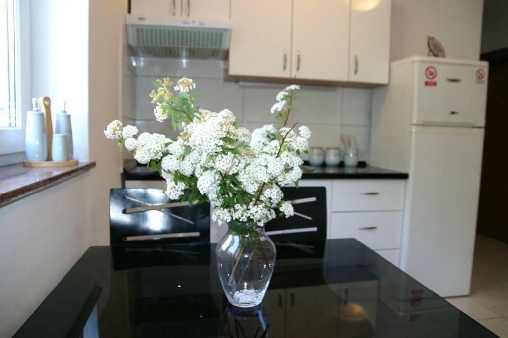 Vicy Apartment Novalja Luaran gambar
